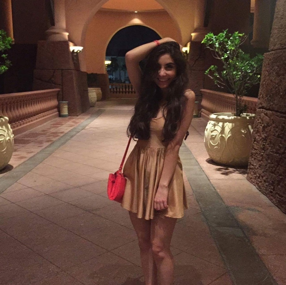American Apparel skater dress